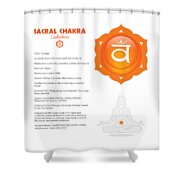 Sacral - Svadhishthana Chakra Art & Info Rectangular Pillow by Serena King