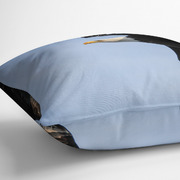 Pillow Side View