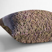 Pillow Side View