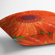 Pillow Side View