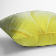 Pillow Side View