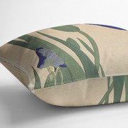 Pillow Side View