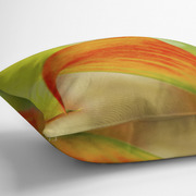 Pillow Side View