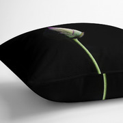 Pillow Side View