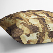 Pillow Side View