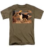 Border Collie At Sunset Men's T-Shirt  (Regular Fit) by Michelle Wrighton