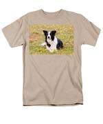 Border Collie In Field Of Yellow Flowers Men's T-Shirt  (Regular Fit) by Michelle Wrighton