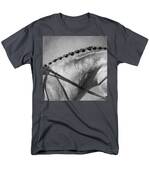 Shades Of Grey Fine Art Horse Photography Men's T-Shirt (Regular Fit) by Michelle Wrighton