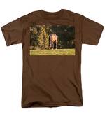 Grazing Horse At Sunset Men's T-Shirt (Regular Fit) by Michelle Wrighton