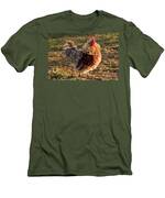 Frizzle Rooster Men's T-Shirt (Athletic Fit)