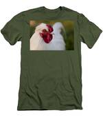 White Rooster Men's T-Shirt (Athletic Fit)