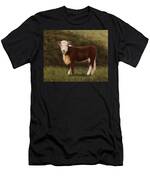 Hereford Heifer Men's T-Shirt (Athletic Fit)
