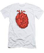 https://render.fineartamerica.com/images/rendered/small/t-shirt/23/30/images/artworkimages/medium/3/2-half-brain-half-heart-organ-anatomy-science-toms-tee-store-transparent.png?transparent=1&targetx=21&targety=0&imagewidth=387&imageheight=464&modelwidth=430&modelheight=575&backgroundcolor=30&orientation=0&producttype=clothing-23&imageid=34943458
