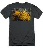 Mushrooms On Tree Trunk Panguana Nature T-Shirt Mushrooms On Tree Trunk Panguana Nature T-Shirt
