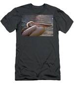 Pelican Men's T-Shirt (Athletic Fit)