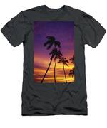 Palm Tree Silhouettes, Sunset, Waikiki Photograph by Natural Selection ...