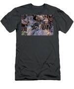 Abert's Squirrel T-Shirt Abert's Squirrel T-Shirt