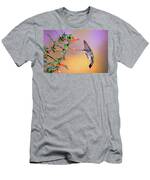 Female Ruby-throated Hummingbird Men's T-Shirt (Athletic Fit) Female Ruby-throated Hummingbird Men's T-Shirt (Athletic Fit)