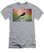 Willy Wagtail Austalian Bird Painting Men's T-Shirt (Athletic Fit)
