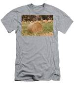 Hay Bales Men's T-Shirt (Athletic Fit)