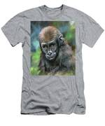 https://render.fineartamerica.com/images/rendered/small/t-shirt/23/9/images/artworkimages/medium/1/young-gorilla-david-stribbling.jpg?transparent=0&targetx=0&targety=0&imagewidth=430&imageheight=518&modelwidth=430&modelheight=575&backgroundcolor=9&orientation=0&producttype=clothing-23&imageid=4062369