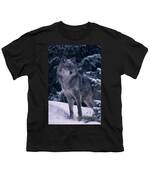 T.kitchin 19574c, Gray Wolf, Canis Photograph by First Light - Fine Art ...