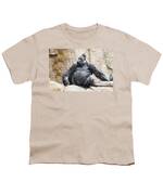 https://render.fineartamerica.com/images/rendered/small/t-shirt/32/7/images/artworkimages/medium/3/powerful-dominant-male-gorilla-sits-on-a-background-of-stones-an-michael-semenov.jpg?transparent=0&targetx=0&targety=0&imagewidth=395&imageheight=262&modelwidth=395&modelheight=530&backgroundcolor=7&orientation=0&producttype=clothing-32&imageid=13840303