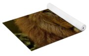 Gentle Strength Yoga Mat Gentle Strength Yoga Mat