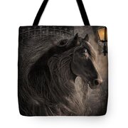 Friesian Glow Digital Art by Fran J Scott - Fine Art America