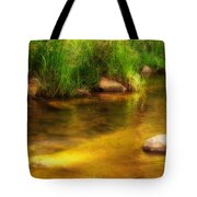Golden Reflections Tote Bag