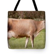 Jersey Cow In Pasture Tote Bag