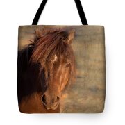 Shetland Pony At Sunset Tote Bag by Michelle Wrighton