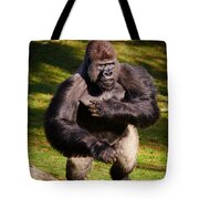 Gorilla sitting upright holding his hand up Throw Pillow by Nick Biemans -  Pixels