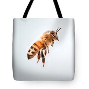 Honey Bee In Flight Photograph by Ted Kinsman - Fine Art America