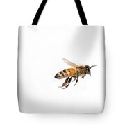 Honey Bee In Flight Photograph by Ted Kinsman - Fine Art America