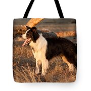 Border Collie At Sunset Tote Bag by Michelle Wrighton