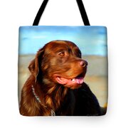 Bosco At The Beach Tote Bag by Michelle Wrighton