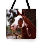Old Blue Eyes Tote Bag by Michelle Wrighton