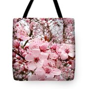 Blossoms Art Spring Pink Tree Blossom Floral Baslee Troutman Photograph ...