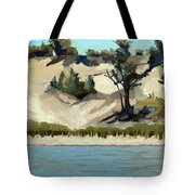 Lake Michigan Dune with Trees and Beach Grass Painting by Michelle ...
