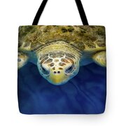 Sammy Sea Turtle Onesie 