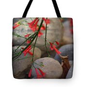 Scarlet Bugler Blossoms on Rocks Tote Bag Scarlet Bugler Blossoms on Rocks Tote Bag