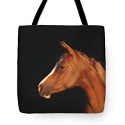 Soulful Gaze Of A Horse Tote Bag