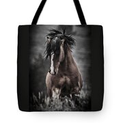 South Steens Wild Stallion Photograph by Wes and Dotty Weber | Fine Art ...