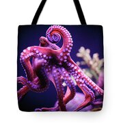 Octopus by Reynold Mainse / Design Pics