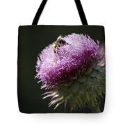 Bee On Thistle Tote Bag