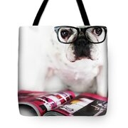 Dog With Glasses Photograph by Retales Botijero - Fine Art America