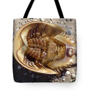 Parker Nylon Tote — The Horseshoe Crab