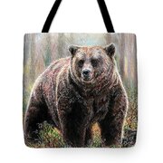 Huggy the Grizzly Bear Drawing by Andrew Read - Fine Art America