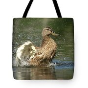 Mallard Hen Duck Splashing In Water Tote Bag Mallard Hen Duck Splashing In Water Tote Bag